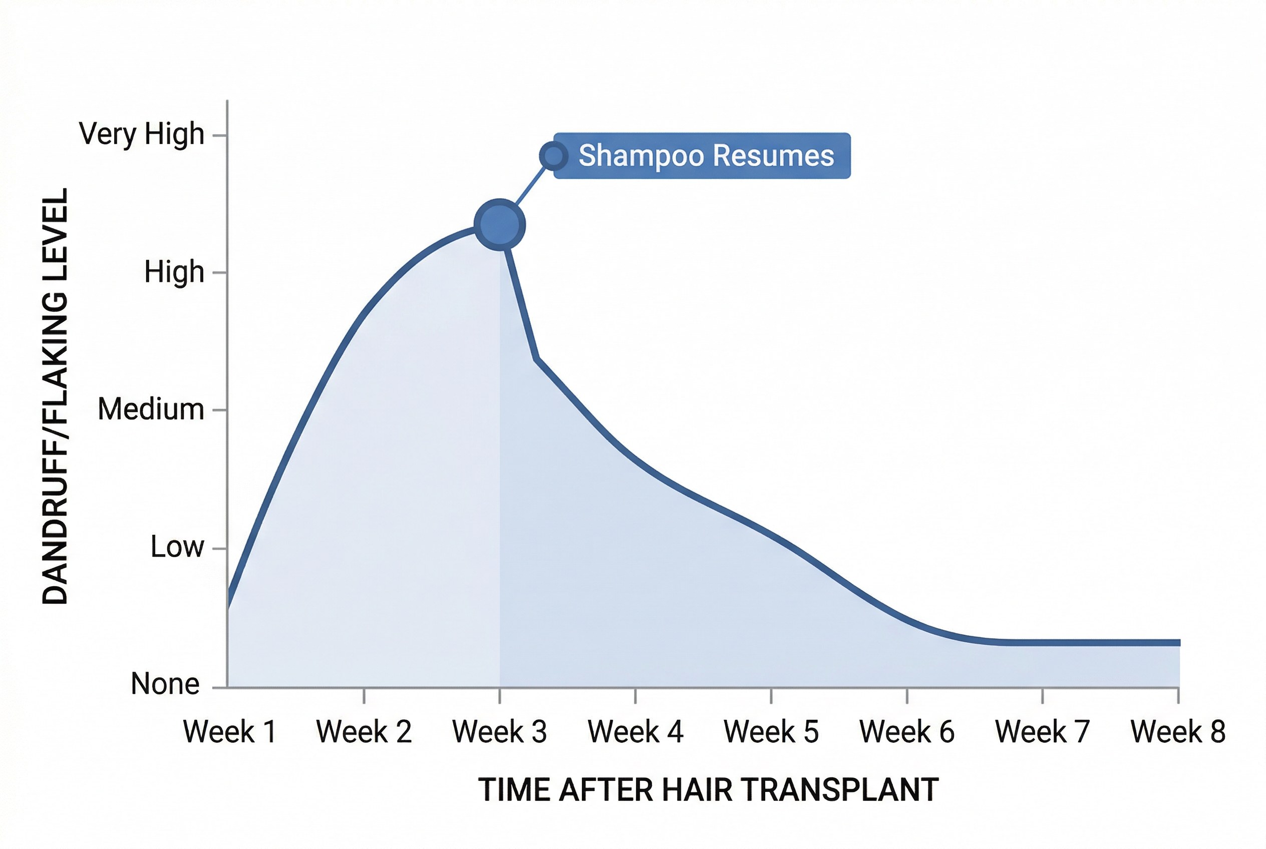 모발이식 후 시기별 비듬 각질 변화 타임라인
