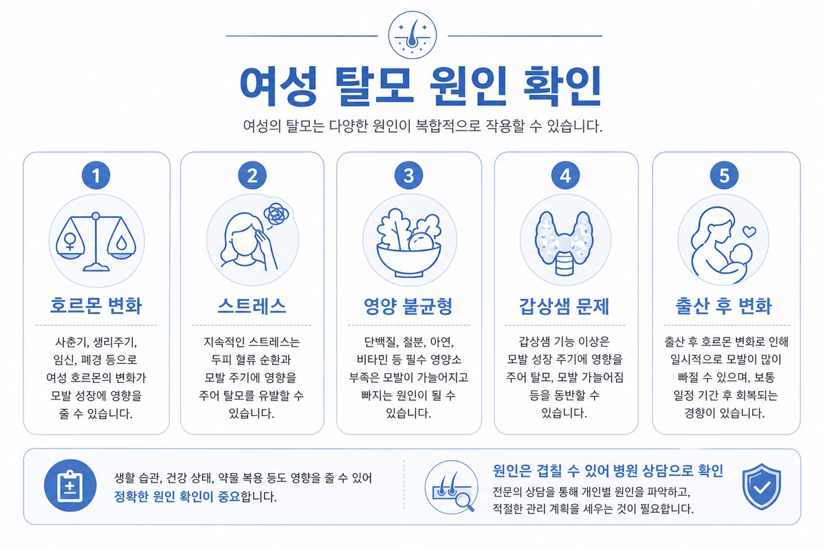 여성 탈모 5가지 원인 호르몬 스트레스 영양 갑상선 출산 인포그래픽