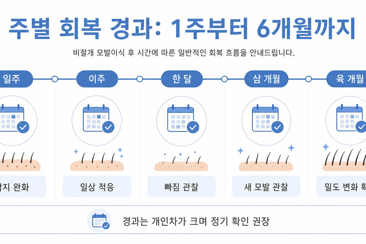 비절개 모발이식 주별 6개월 회복 타임라인 인포그래픽