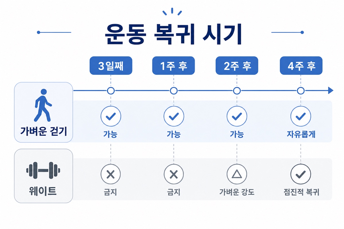 모발이식 후 유산소 웨이트 복귀 시기 비교 타임라인