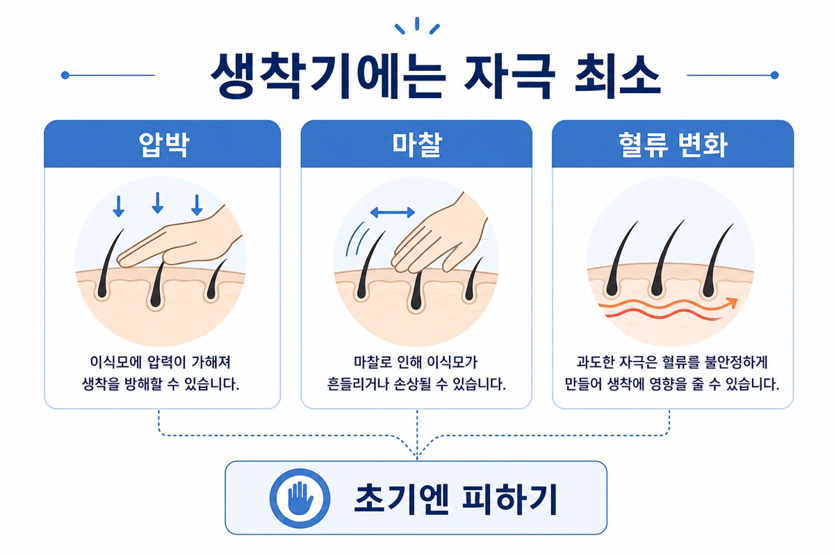 두피 마사지가 모발이식 생착률에 미치는 영향 인포그래픽