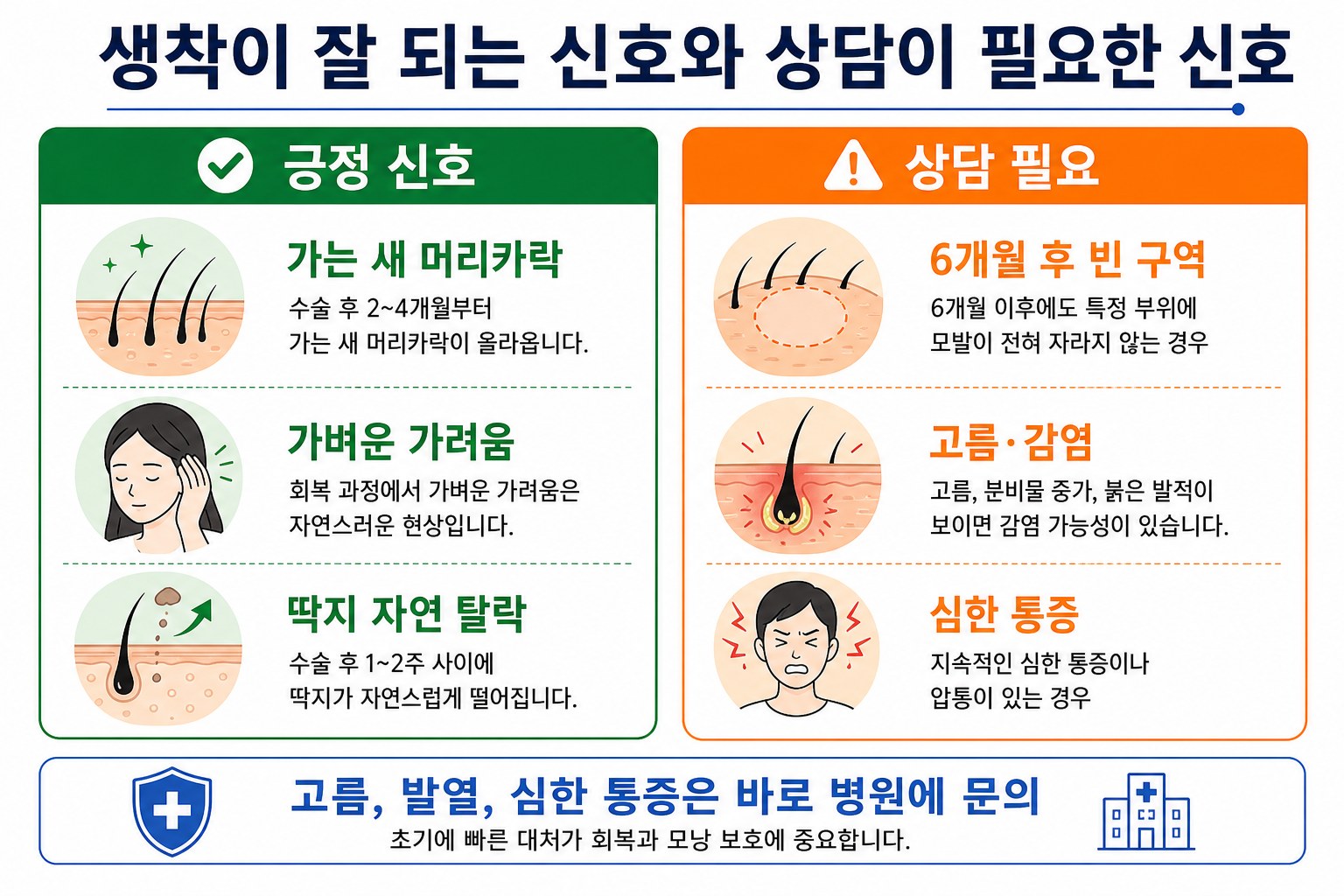 모발이식 생착 성공과 실패 구분 기준 비교 인포그래픽