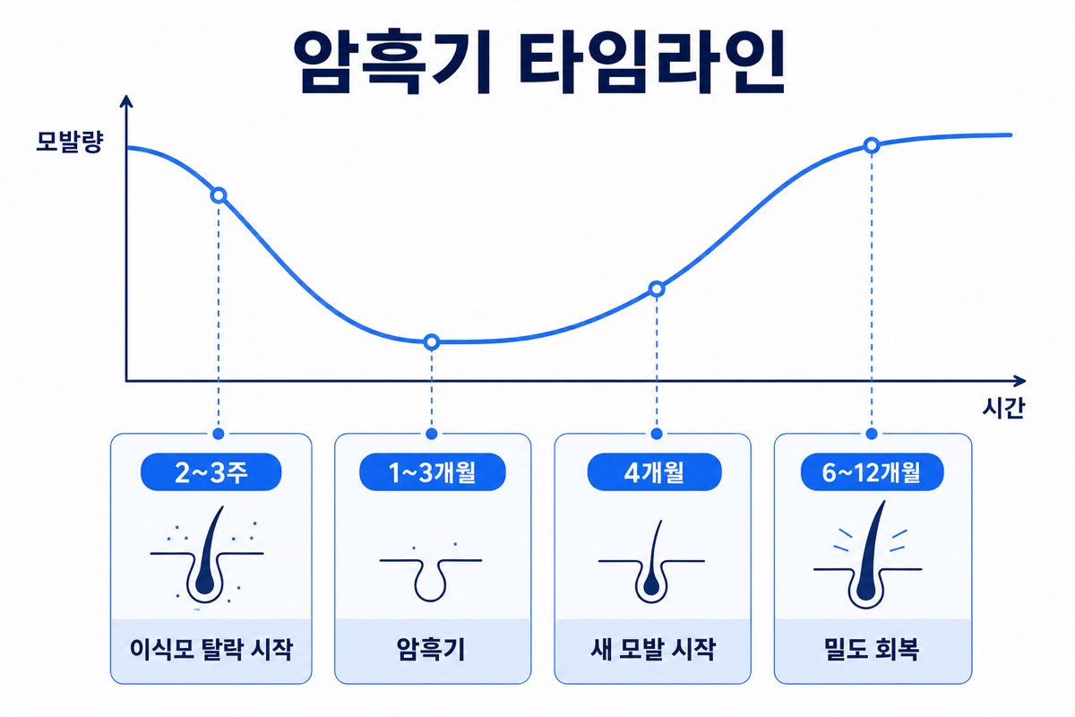 모발이식 암흑기 타임라인 인포그래픽