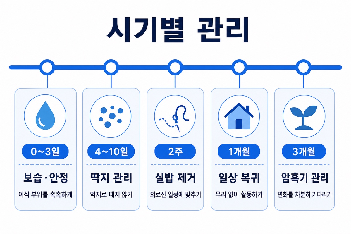 모발이식 후 시기별 관리 타임라인 인포그래픽