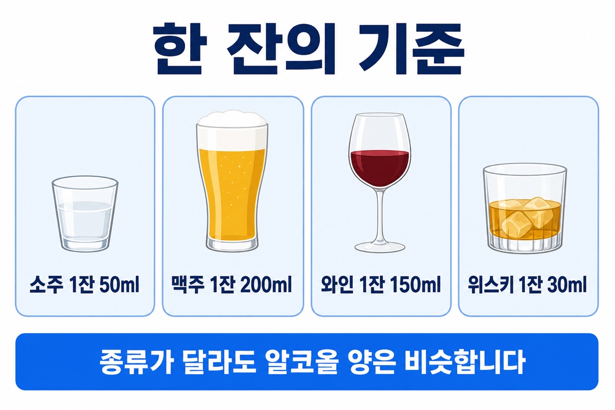 한 잔 기준 비교 인포그래픽