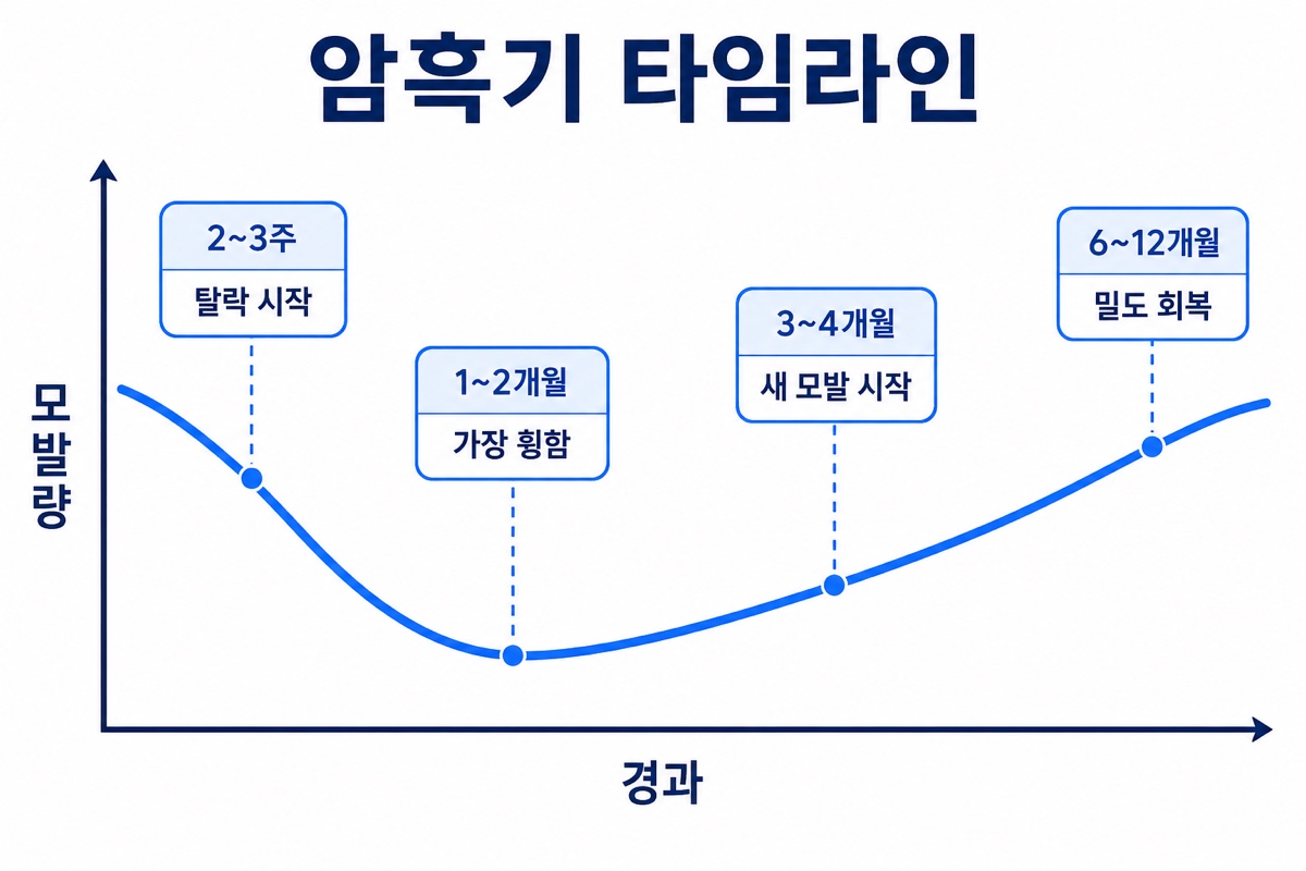모발이식 암흑기 시기별 타임라인 인포그래픽