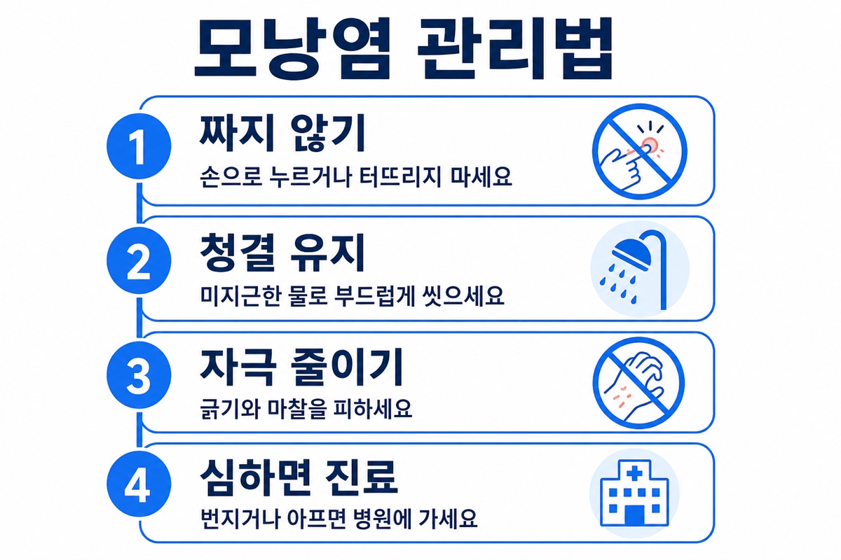 모발이식 모낭염 관리법 인포그래픽